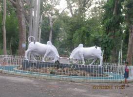 Pondicherry Botanical Gardens