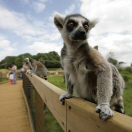 ZSL Whipsnade Zoo