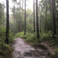 Irchester Country Park