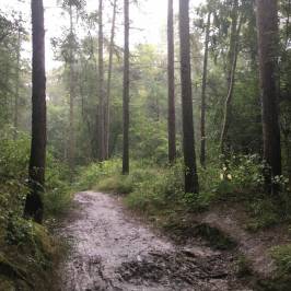 Irchester Country Park