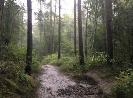 Irchester Country Park