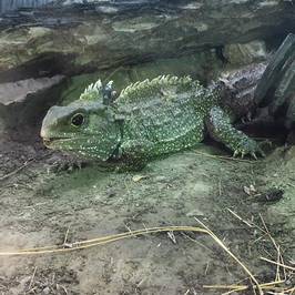 EcoWorld Picton Aquarium