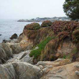Monterey Peninsula Recreational Trail