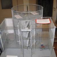 Pottawattamie County Squirrel Cage Jail and Museum
