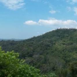 Sky Mountain Canopy