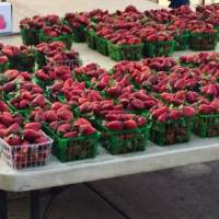 Red Stick Farmers Market