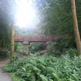 Eastwood RSPB Reserve