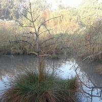 Austin Roberts Bird Sanctuary