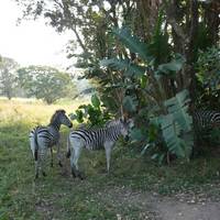 Kenneth Stainbank Nature Reserve