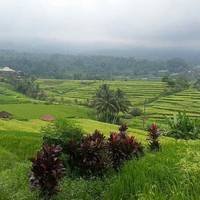 Pura Penataran Sasih