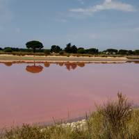 Salin d'Aigues-Mortes
