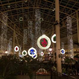 Gaylord Opryland Resort Gardens