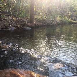 Pai Hot Springs