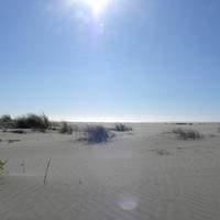 Grayland Beach State Park
