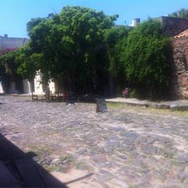 Avenida General Flores