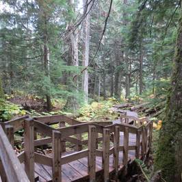 Mount Revelstoke National Park