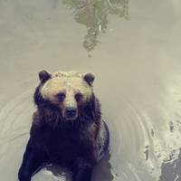 Greater Vancouver Zoo