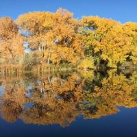 Leonora Curtin Wetland Preserve