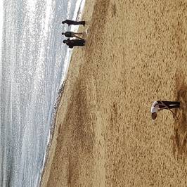 Golden Sands Beach