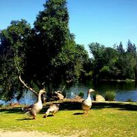 Woodward Regional Park