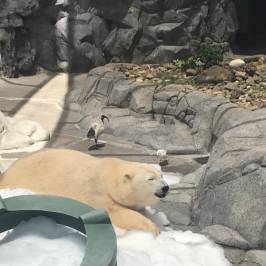 Аквапарк Sea World