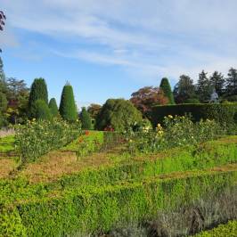 Drummond Gardens