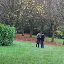 Whipsnade Tree Cathedral