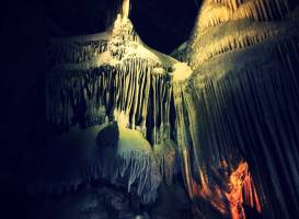 Wild Cave Tours