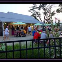 Spooner's Frozen Custard