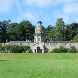 The Pineapple