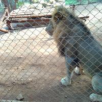 Nairobi Education Centre - Animal Orphanage