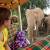 Elephant Watch Camp & Safaris