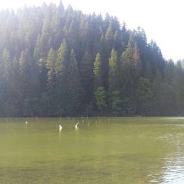 Lake Izvorul Muntelui (Lake Bicaz)