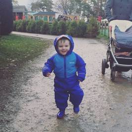 Stockeld Park