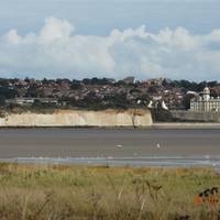 Sandwich and Pegwell Bay National Nature Reserve