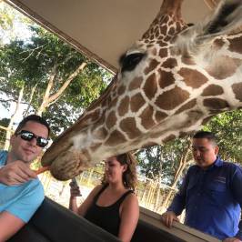 Africa Safari