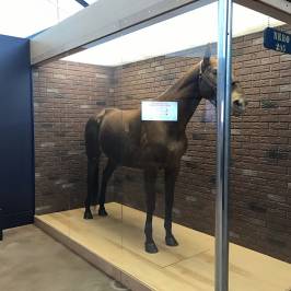 RCMP Heritage Centre