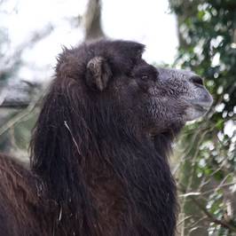 NaturZoo Rheine