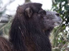 NaturZoo Rheine