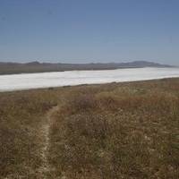 Soda Lake