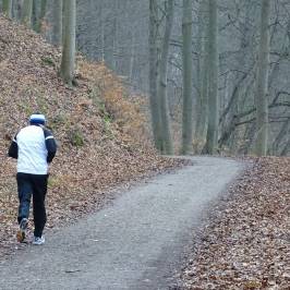 Wolgastsee