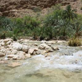 Wadi Shab