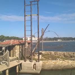 Long Beach (Velika plaža)