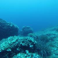 Mare Nostrum Diving Ustica