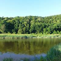Tintern