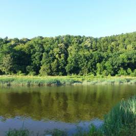 Tintern