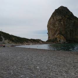 Palmarola