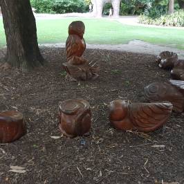 Albury Botanic Garden