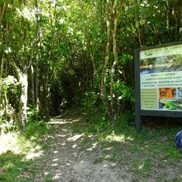 Lochmara Lodge Marlborough Sounds Wildlife Recovery Centre