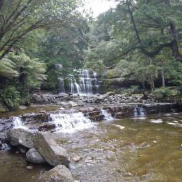 Liffey Falls